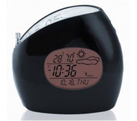 Sunstech WS100